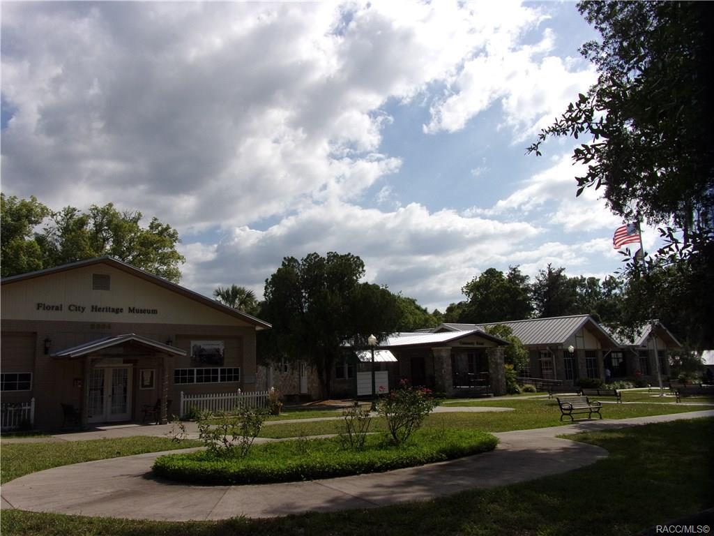 home for sale at 10080 E Gobbler Drive, Floral City, FL 34436 in Withlapopka Island