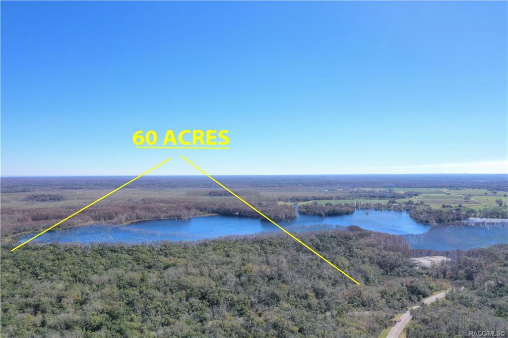 home for sale at 10080 E Gobbler Drive, Floral City, FL 34436 in Withlapopka Island