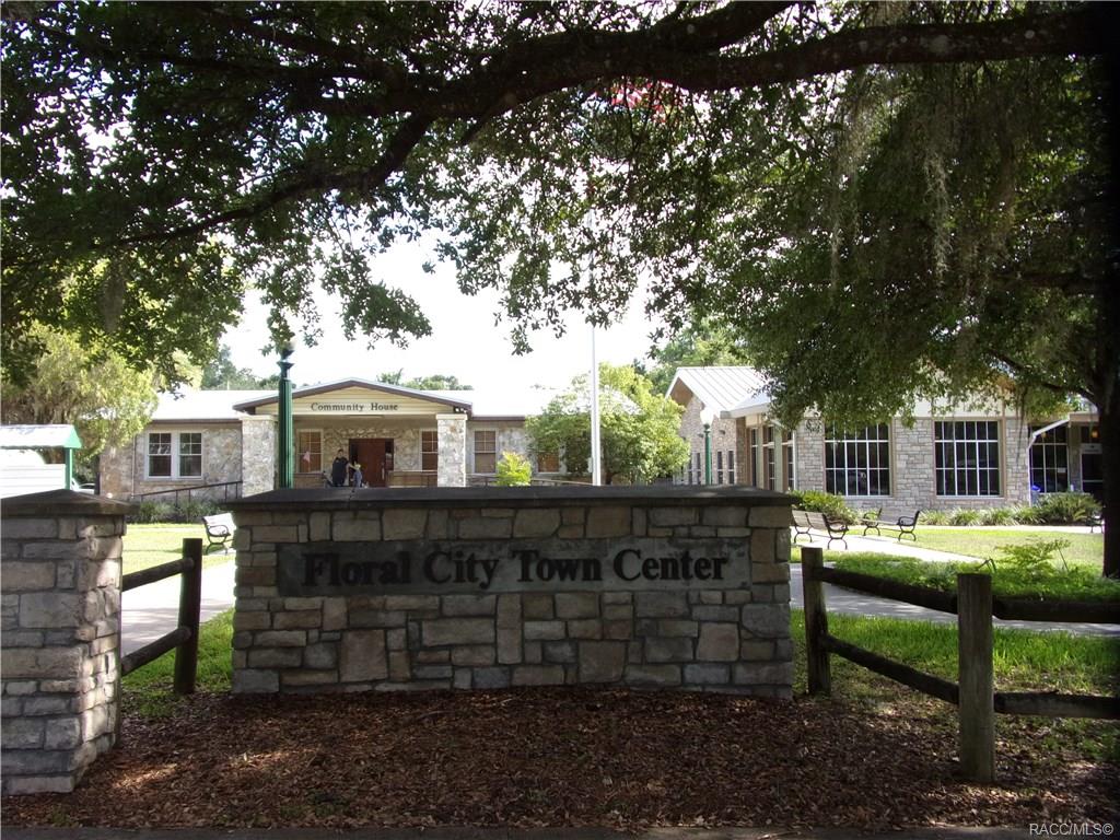 home for sale at 10080 E Gobbler Drive, Floral City, FL 34436 in Withlapopka Island