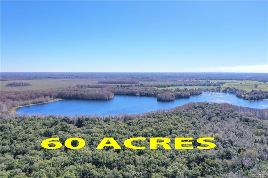 home for sale at 10080 E Gobbler Drive, Floral City, FL 34436 in Withlapopka Island