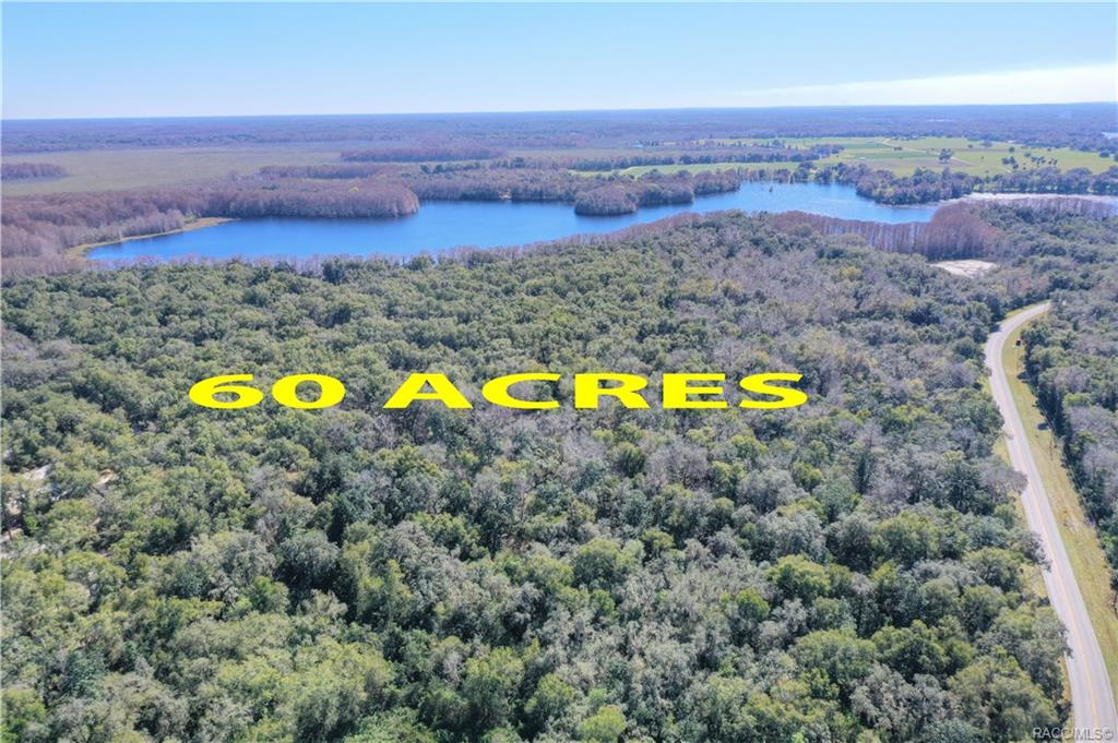 home for sale at 10080 E Gobbler Drive, Floral City, FL 34436 in Withlapopka Island