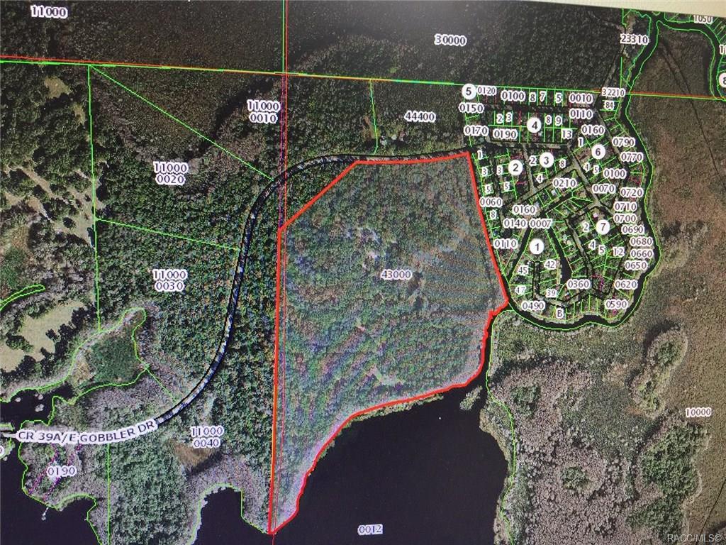 home for sale at 10080 E Gobbler Drive, Floral City, FL 34436 in Withlapopka Island