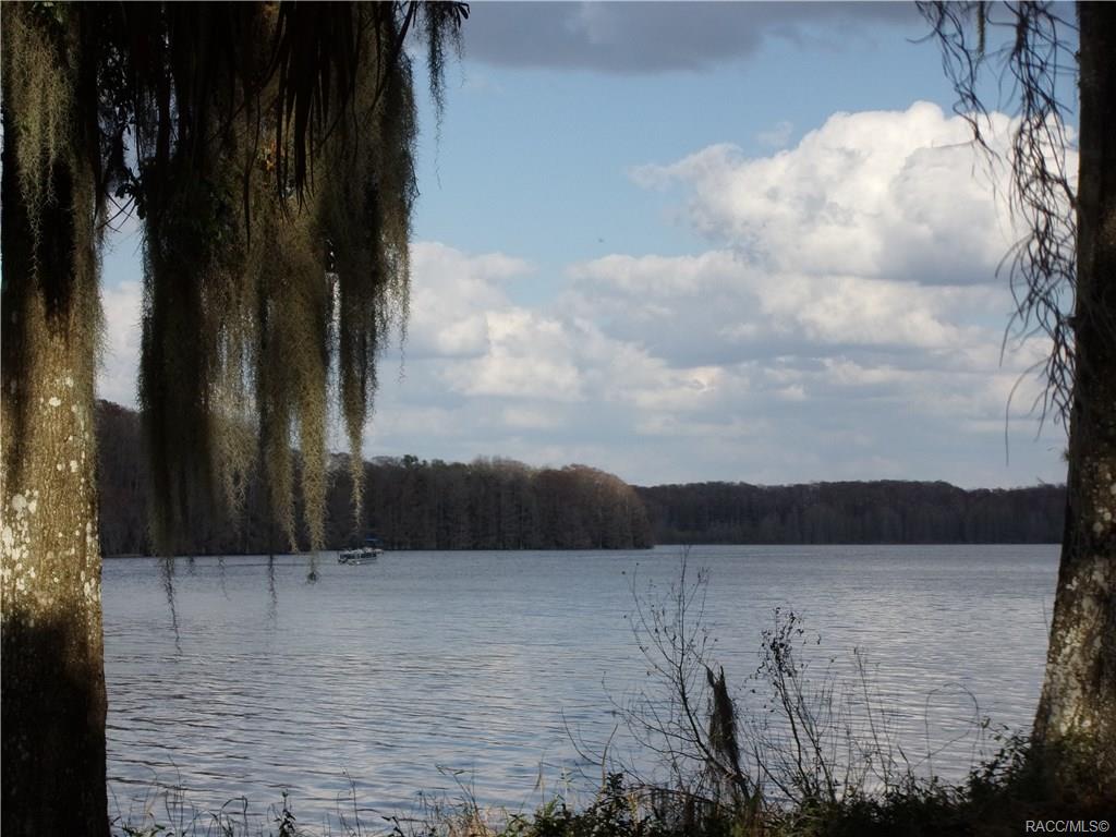 home for sale at 10080 E Gobbler Drive, Floral City, FL 34436 in Withlapopka Island