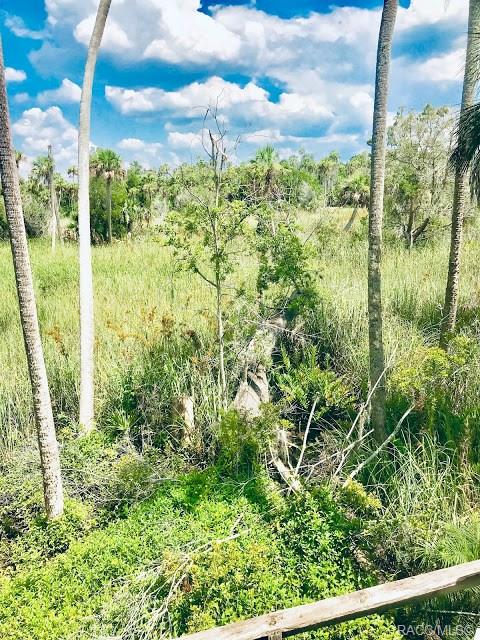 home for sale at 2645 N Seabreeze Point, Crystal River, FL 34429 in Sawgrass Landing Condo
