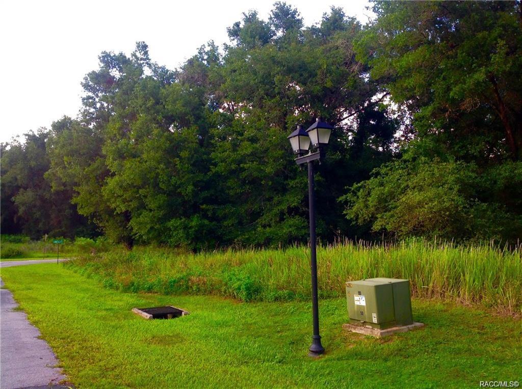 home for sale at 1820 W Oak Valley Court, Homosassa, FL 34446 in Meadow Run Estates