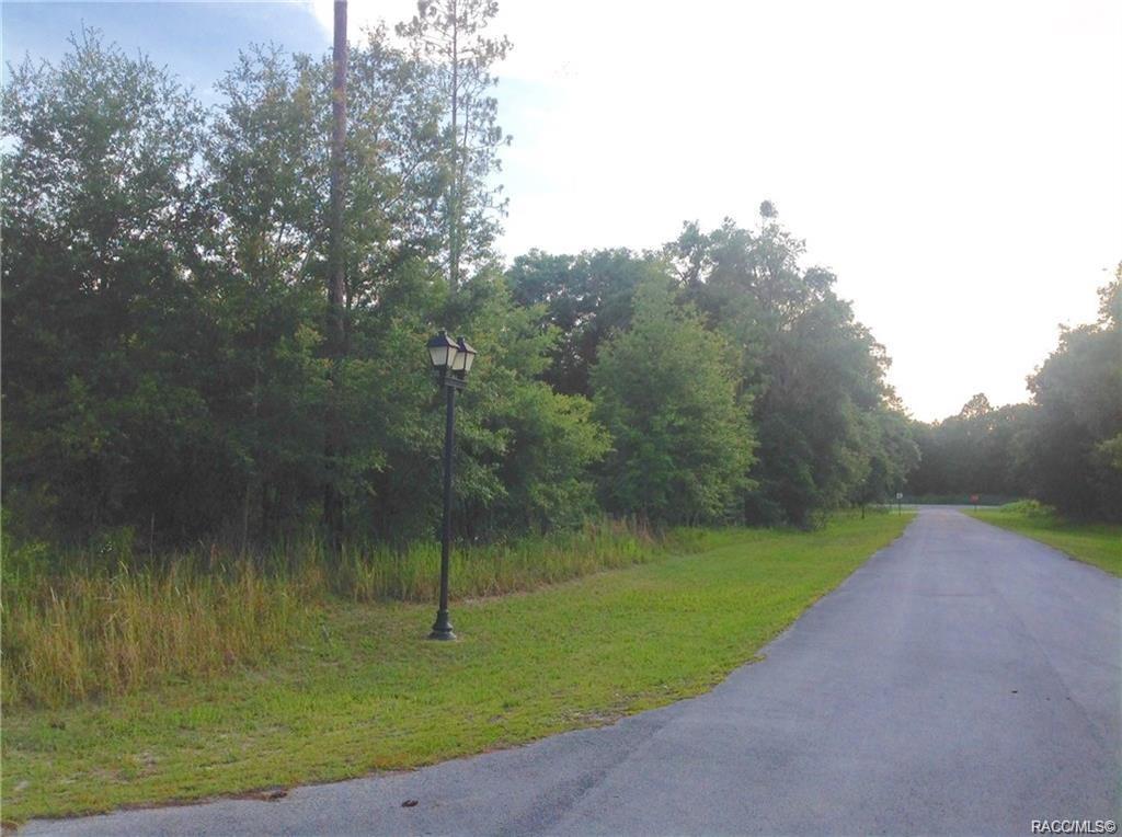 home for sale at 1820 W Oak Valley Court, Homosassa, FL 34446 in Meadow Run Estates