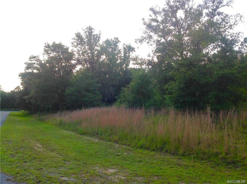 home for sale at 1820 W Oak Valley Court, Homosassa, FL 34446 in Meadow Run Estates