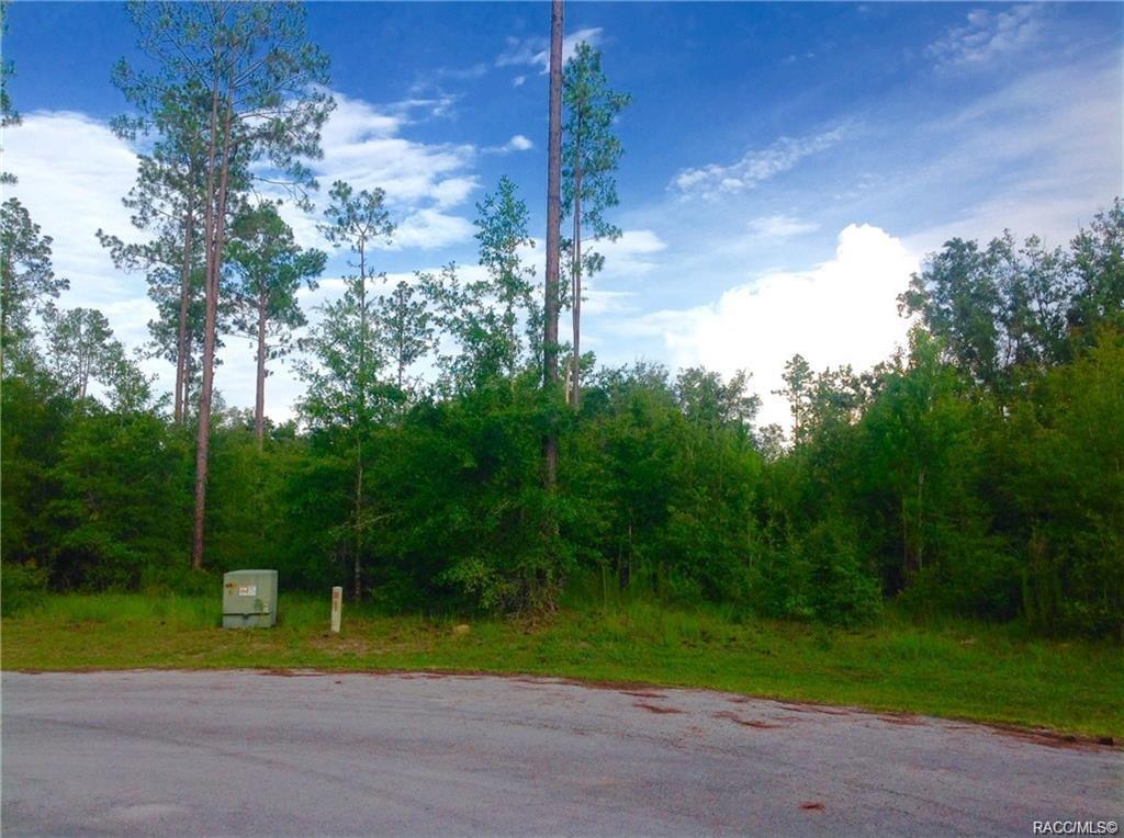 home for sale at 1820 W Oak Valley Court, Homosassa, FL 34446 in Meadow Run Estates