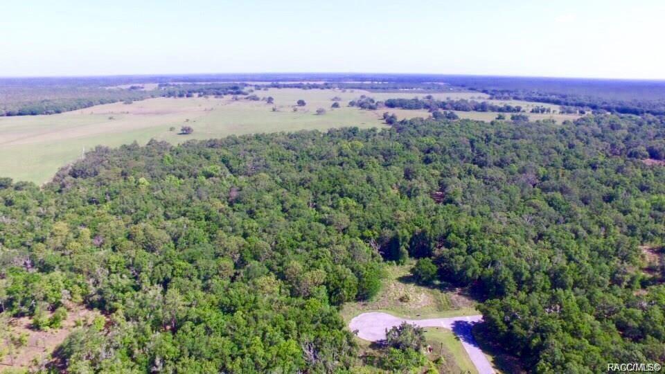 home for sale at 1820 W Oak Valley Court, Homosassa, FL 34446 in Meadow Run Estates