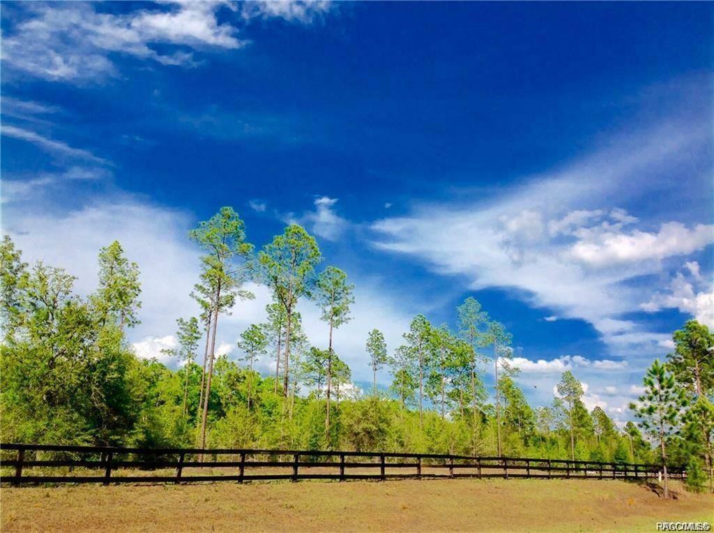 home for sale at 1820 W Oak Valley Court, Homosassa, FL 34446 in Meadow Run Estates