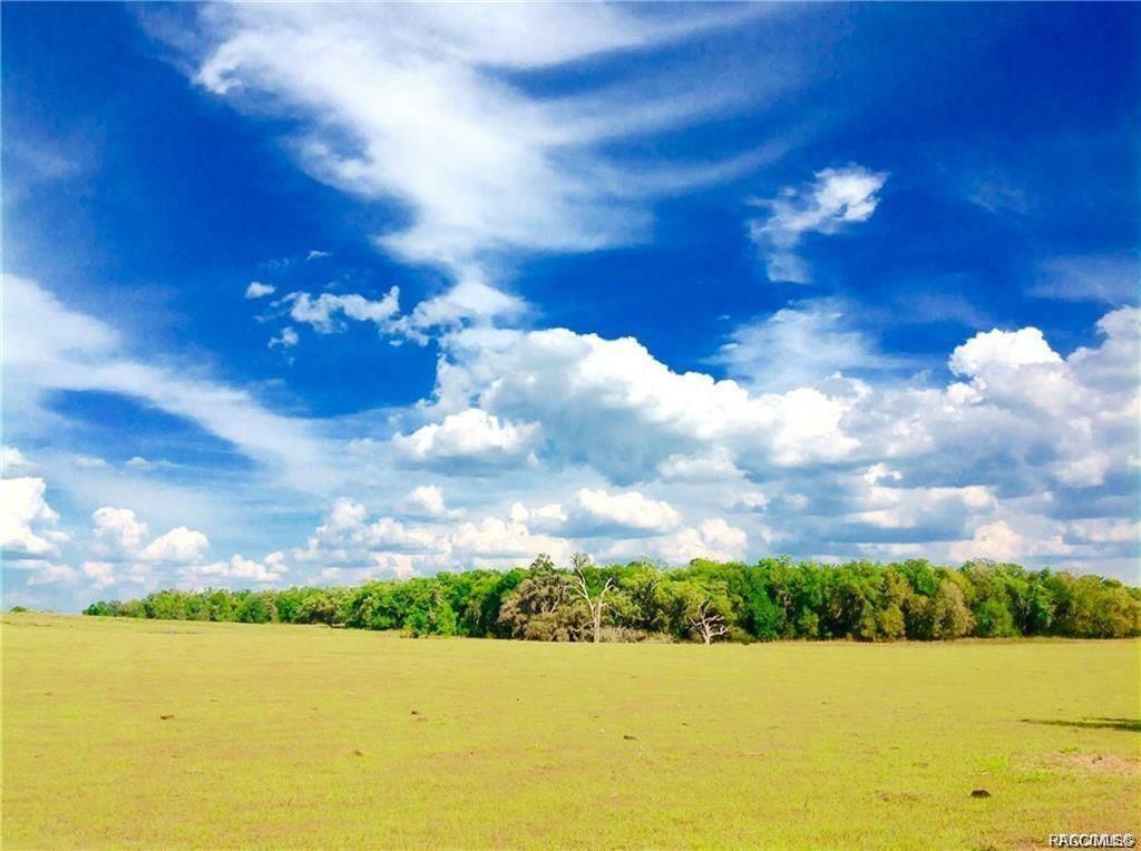 home for sale at 1820 W Oak Valley Court, Homosassa, FL 34446 in Meadow Run Estates