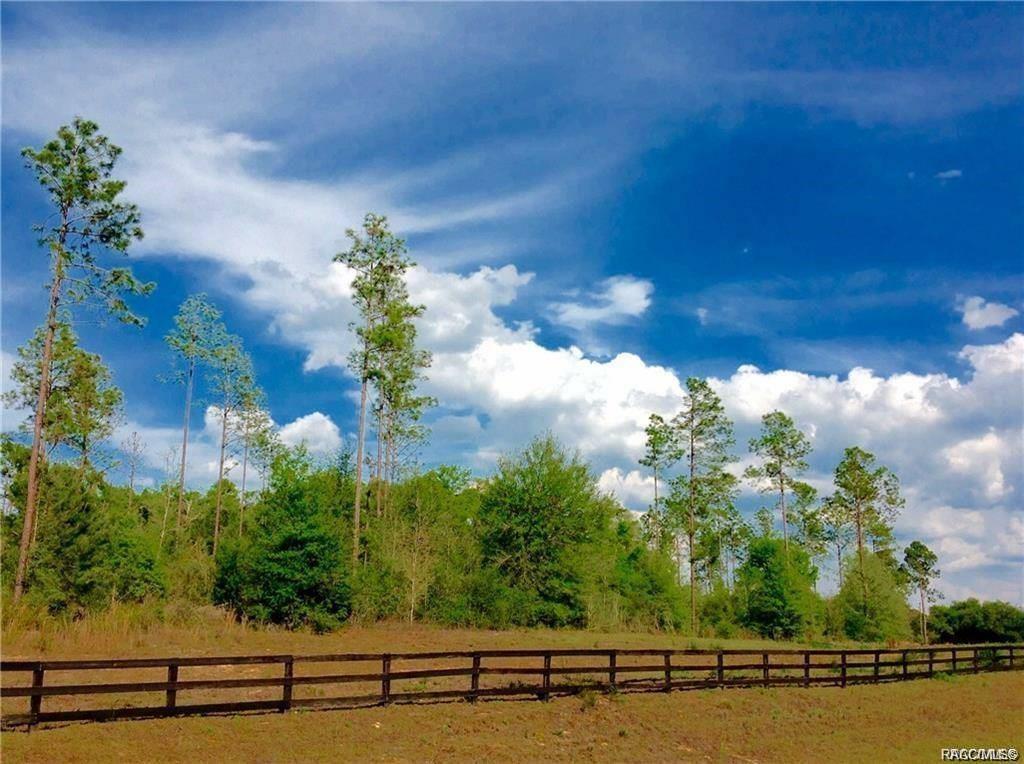 home for sale at 1820 W Oak Valley Court, Homosassa, FL 34446 in Meadow Run Estates