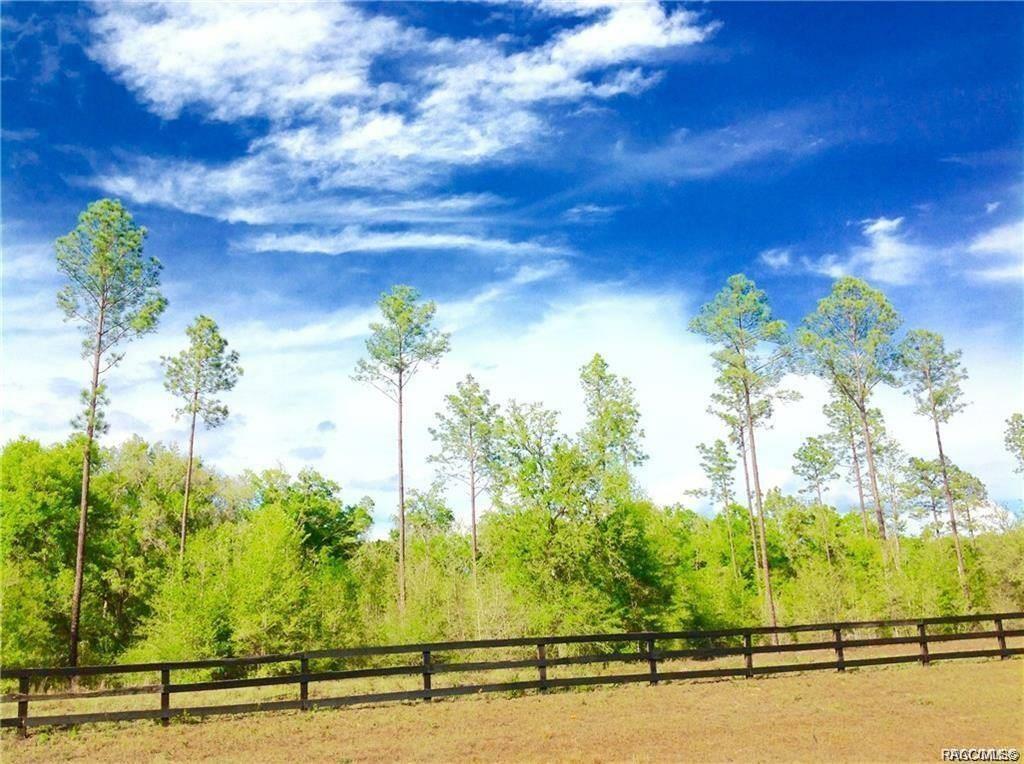 home for sale at 1820 W Oak Valley Court, Homosassa, FL 34446 in Meadow Run Estates