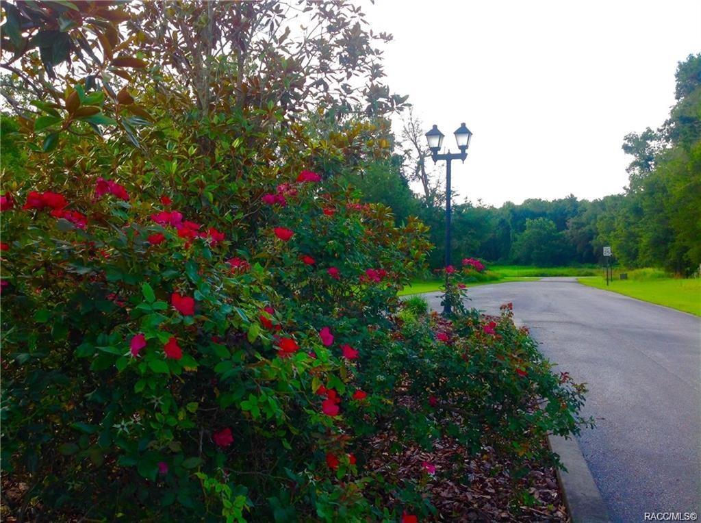 home for sale at 1820 W Oak Valley Court, Homosassa, FL 34446 in Meadow Run Estates