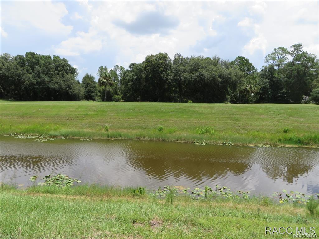 home for sale at 7175 N Nature Trail, Hernando, FL 34442 in Arrowhead