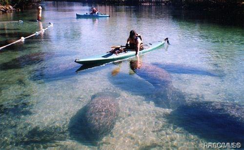 home for sale at 7175 N Nature Trail, Hernando, FL 34442 in Arrowhead