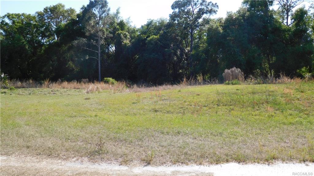 home for sale at 7175 N Nature Trail, Hernando, FL 34442 in Arrowhead