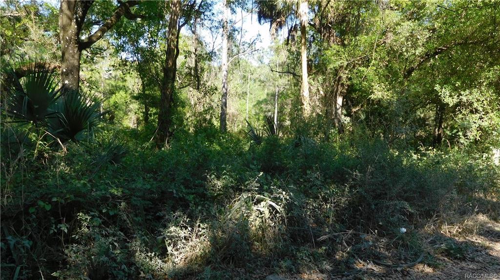 home for sale at 7175 N Nature Trail, Hernando, FL 34442 in Arrowhead