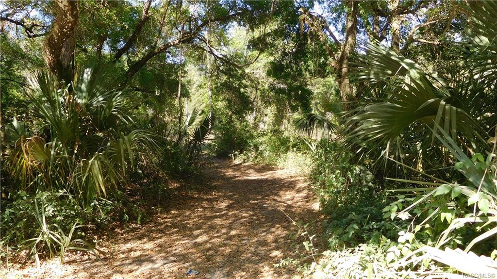 home for sale at 7175 N Nature Trail, Hernando, FL 34442 in Arrowhead