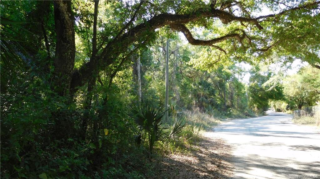 home for sale at 7175 N Nature Trail, Hernando, FL 34442 in Arrowhead