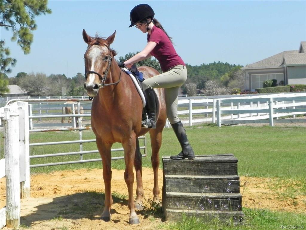 home for sale at 655 N Cherry Pop Drive, Inverness, FL 34453 in Citrus Hills - Clearview Estates