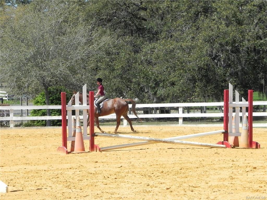 home for sale at 655 N Cherry Pop Drive, Inverness, FL 34453 in Citrus Hills - Clearview Estates