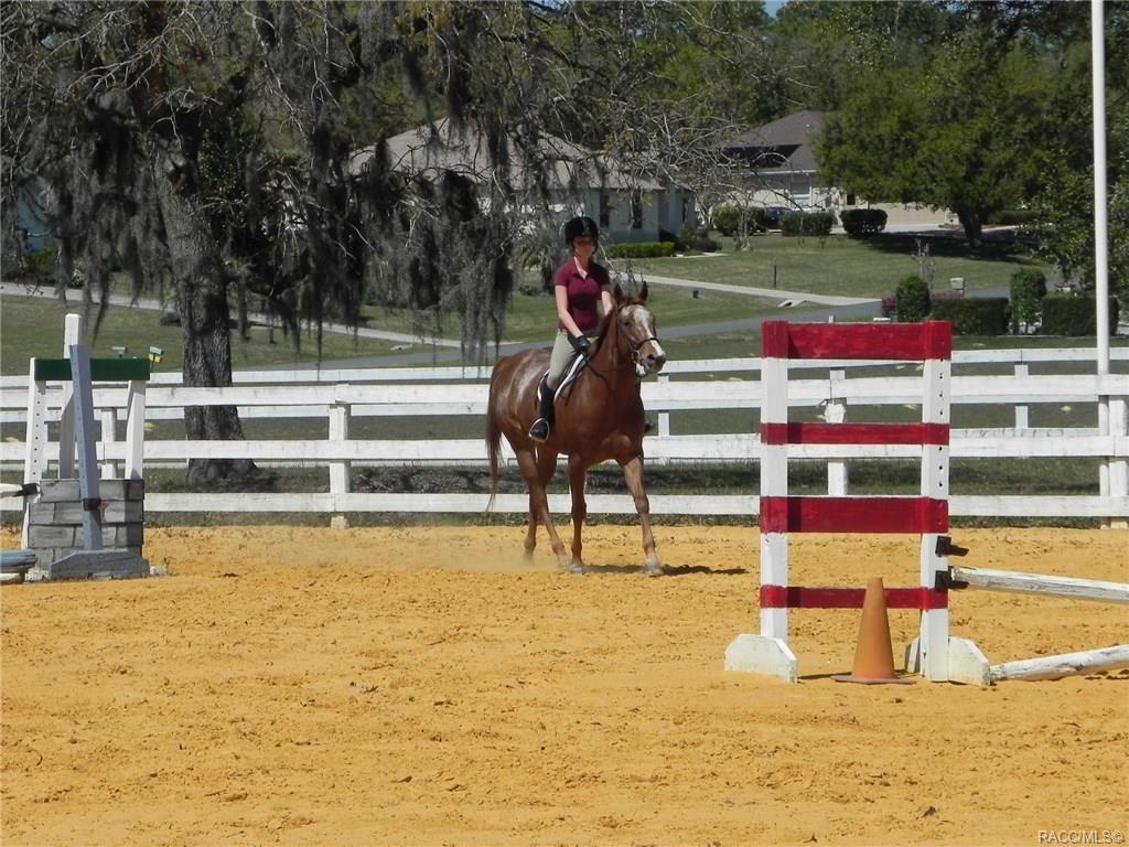 home for sale at 655 N Cherry Pop Drive, Inverness, FL 34453 in Citrus Hills - Clearview Estates