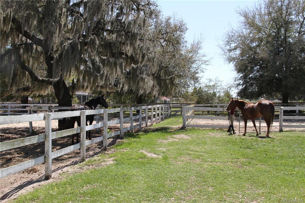 home for sale at 655 N Cherry Pop Drive, Inverness, FL 34453 in Citrus Hills - Clearview Estates