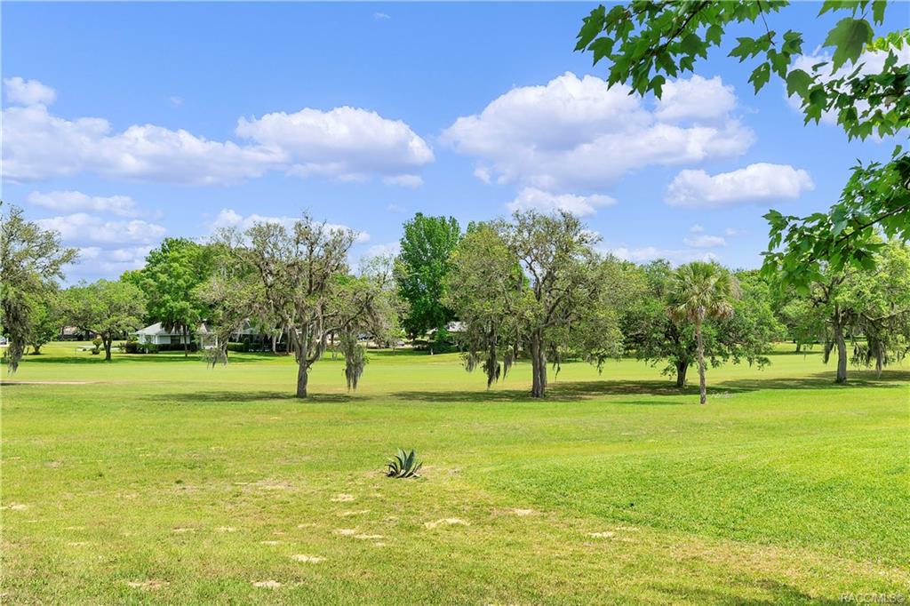 home for sale at 591 E Gilchrist Court, Hernando, FL 34442 in Citrus Hills