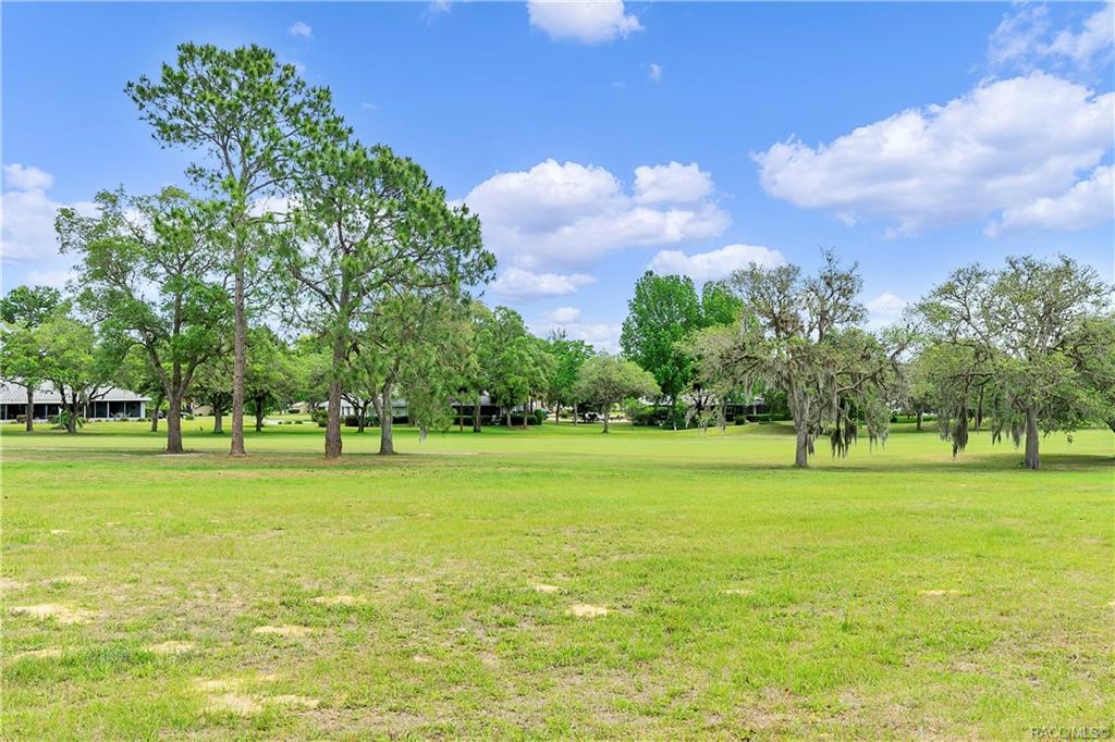 home for sale at 591 E Gilchrist Court, Hernando, FL 34442 in Citrus Hills