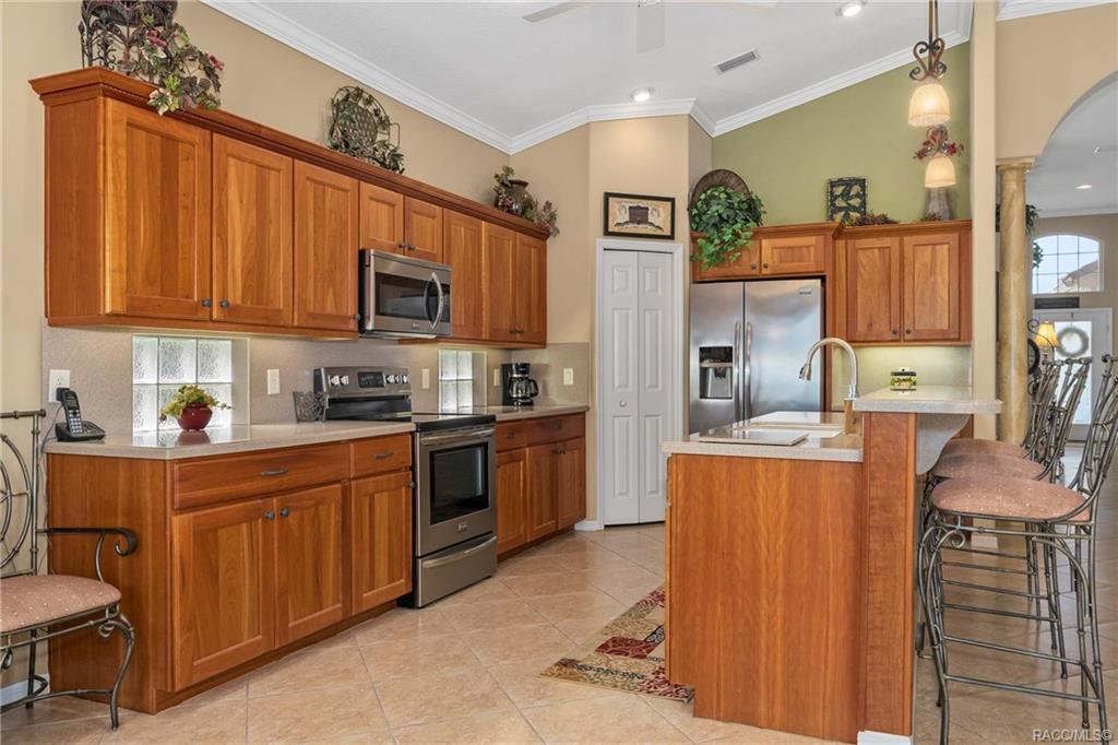 home for sale at 1691 N Shadowview Path, Hernando, FL 34442 in Citrus Hills - Terra Vista