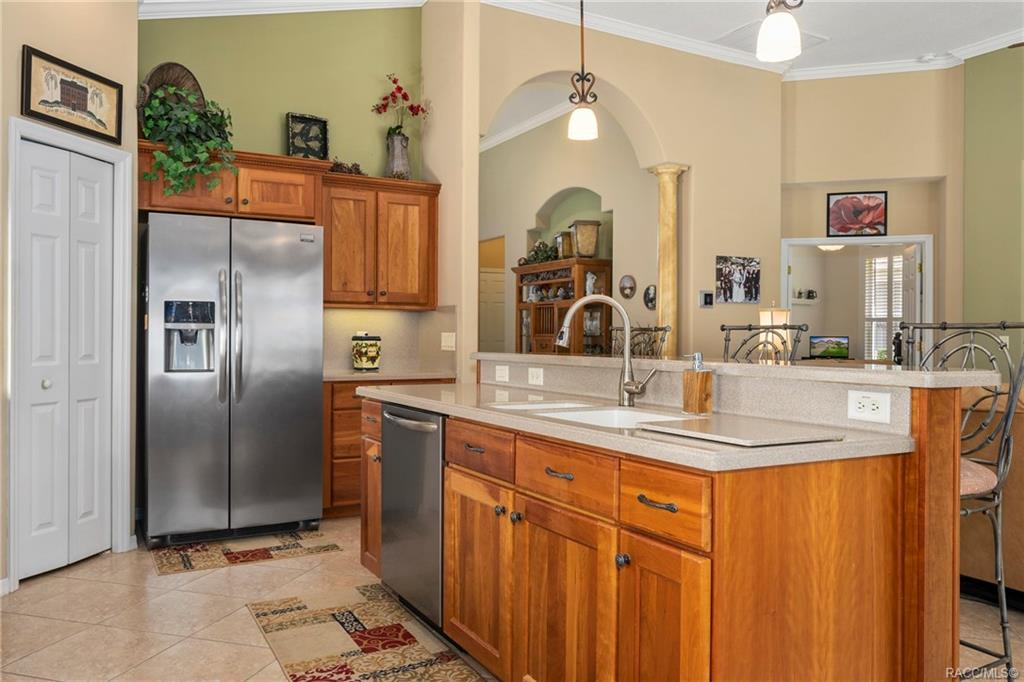 home for sale at 1691 N Shadowview Path, Hernando, FL 34442 in Citrus Hills - Terra Vista