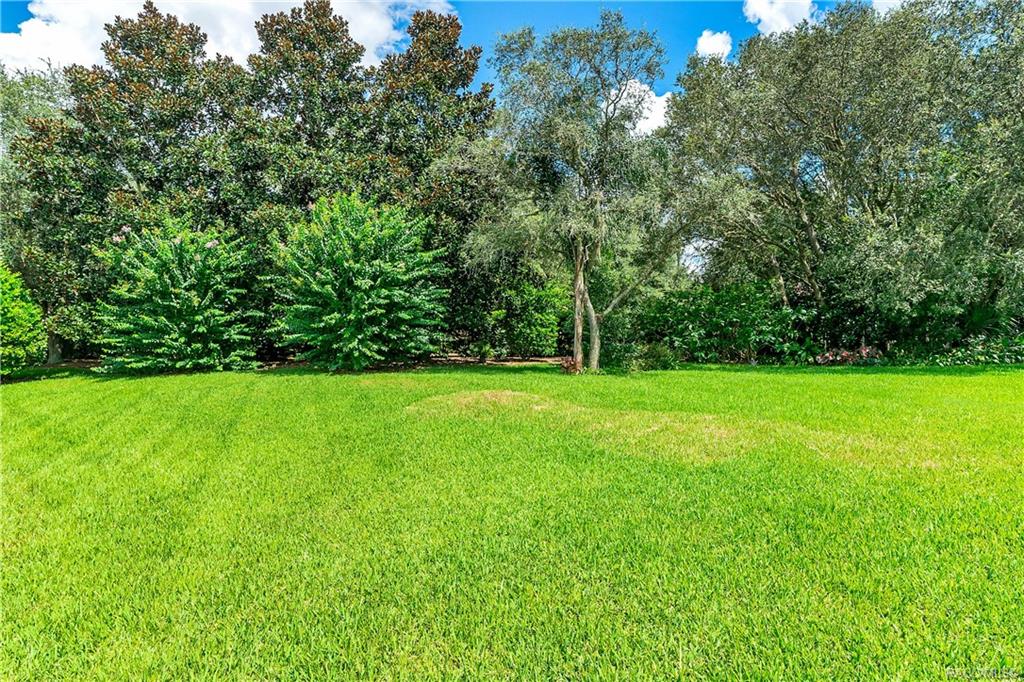 home for sale at 1691 N Shadowview Path, Hernando, FL 34442 in Citrus Hills - Terra Vista