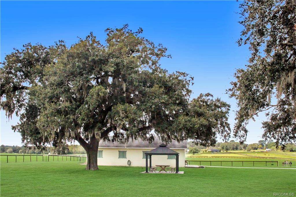 home for sale at 5440 NW 225a Highway, Ocala, FL 34482 in Marion County