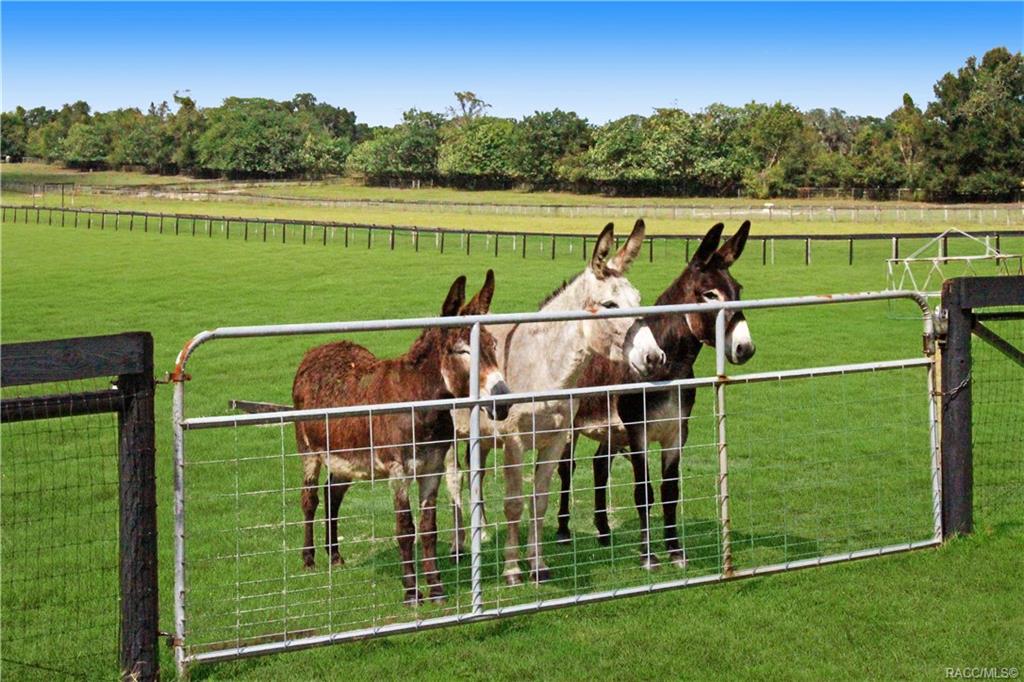 home for sale at 5440 NW 225a Highway, Ocala, FL 34482 in Marion County