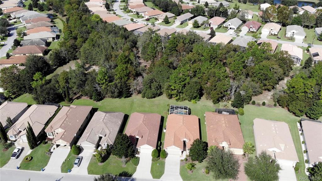 Citrus Hills Terra Vista Property Information 1281 W Diamond Shore