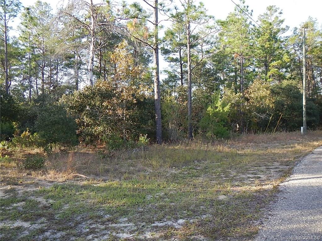 home for sale at 8965 N Farrington Drive, Citrus Springs, FL 34433 in Citrus Springs