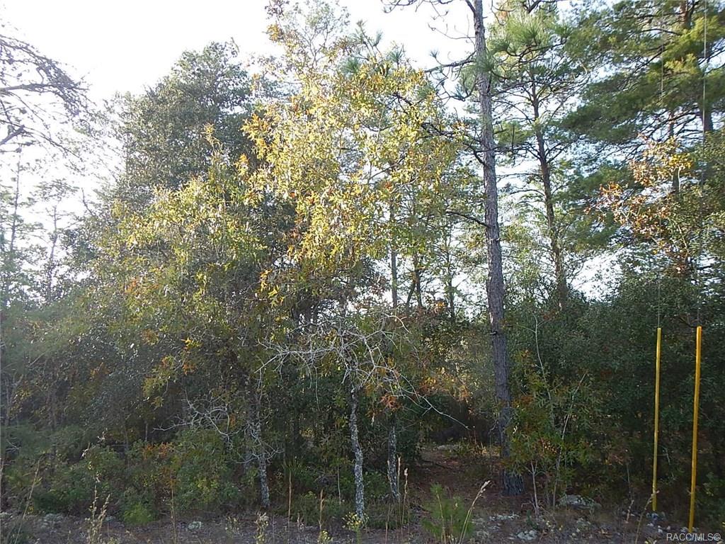 home for sale at 8965 N Farrington Drive, Citrus Springs, FL 34433 in Citrus Springs