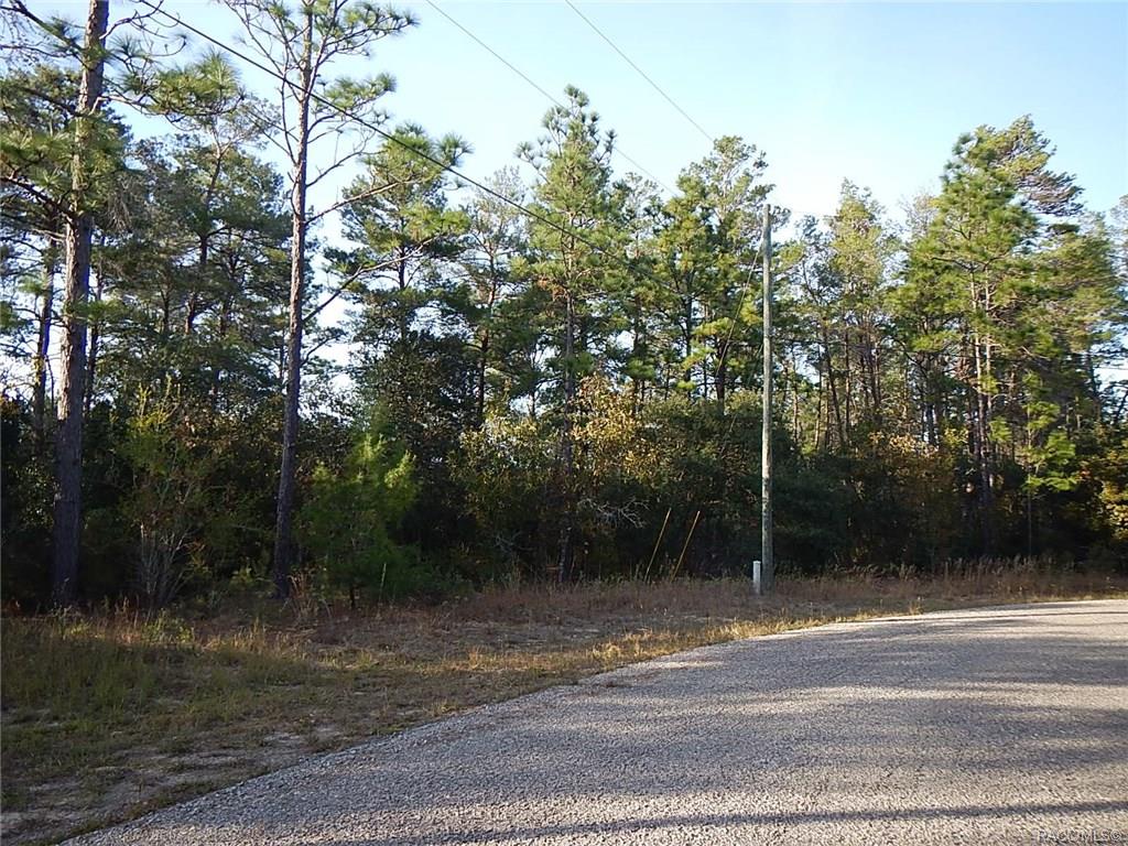 home for sale at 8965 N Farrington Drive, Citrus Springs, FL 34433 in Citrus Springs