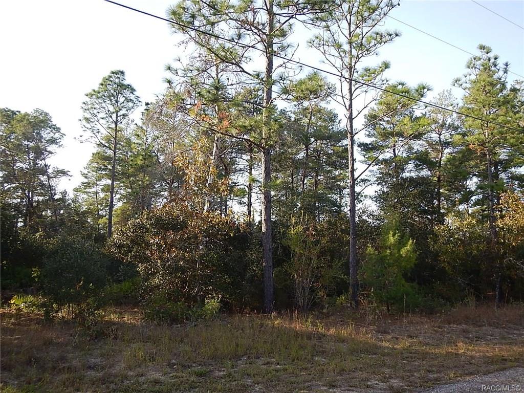 home for sale at 8965 N Farrington Drive, Citrus Springs, FL 34433 in Citrus Springs