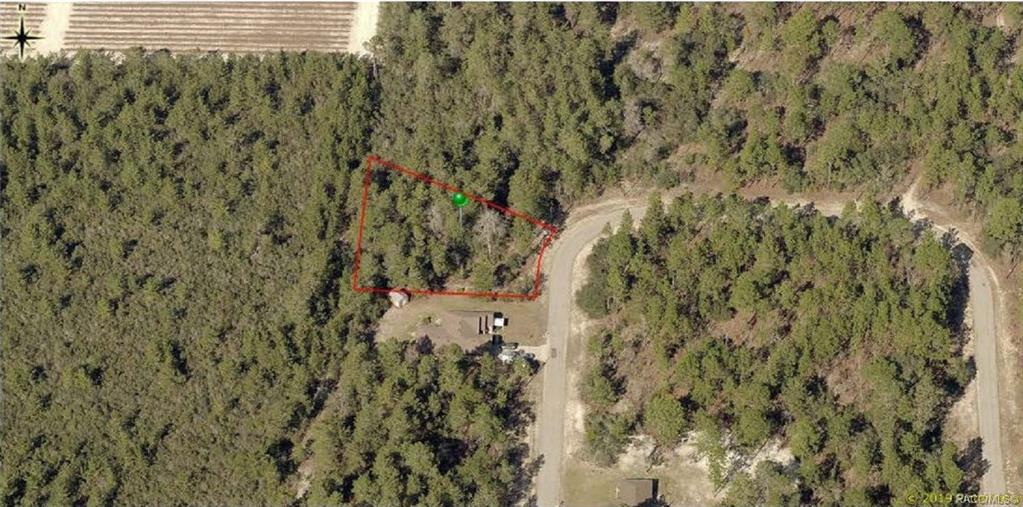 home for sale at 8965 N Farrington Drive, Citrus Springs, FL 34433 in Citrus Springs