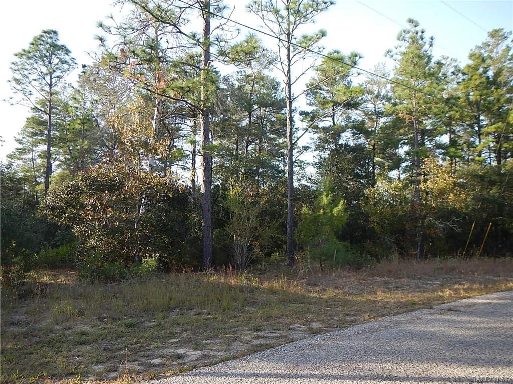 home for sale at 8965 N Farrington Drive, Citrus Springs, FL 34433 in Citrus Springs