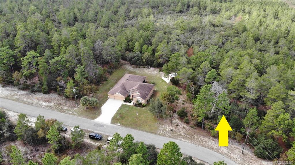 home for sale at 8965 N Farrington Drive, Citrus Springs, FL 34433 in Citrus Springs