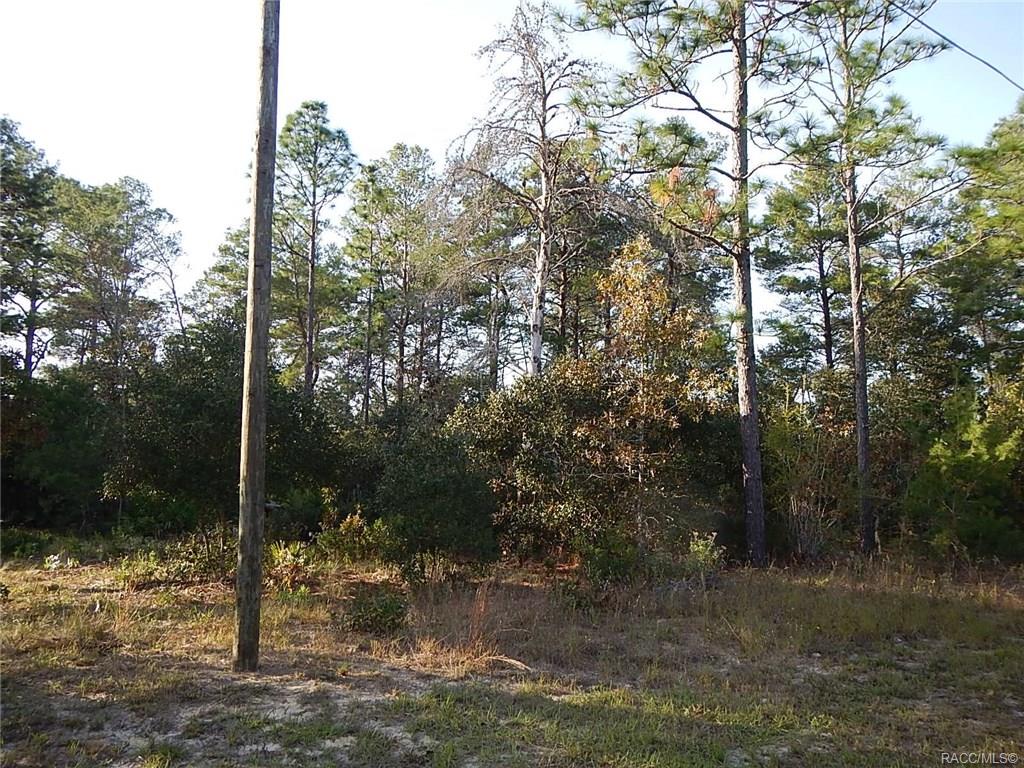 home for sale at 8965 N Farrington Drive, Citrus Springs, FL 34433 in Citrus Springs