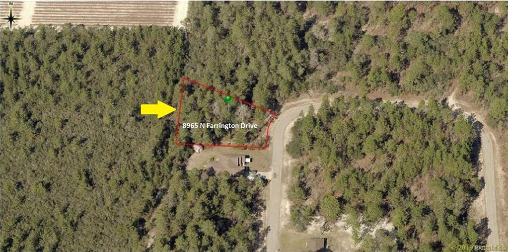 home for sale at 8965 N Farrington Drive, Citrus Springs, FL 34433 in Citrus Springs