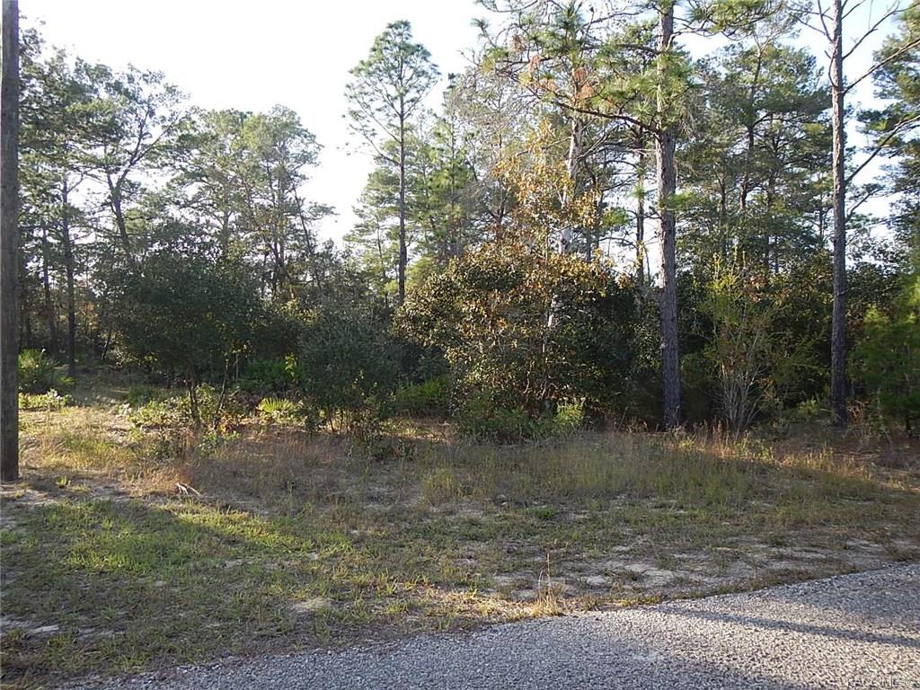 home for sale at 8965 N Farrington Drive, Citrus Springs, FL 34433 in Citrus Springs