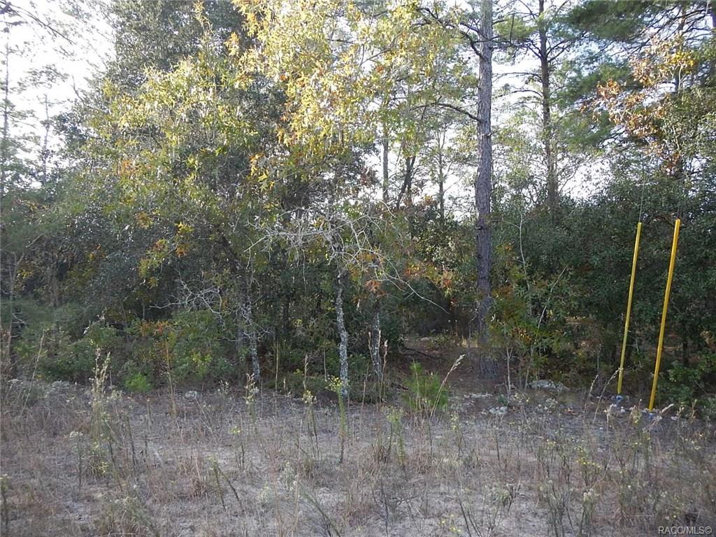 home for sale at 8965 N Farrington Drive, Citrus Springs, FL 34433 in Citrus Springs