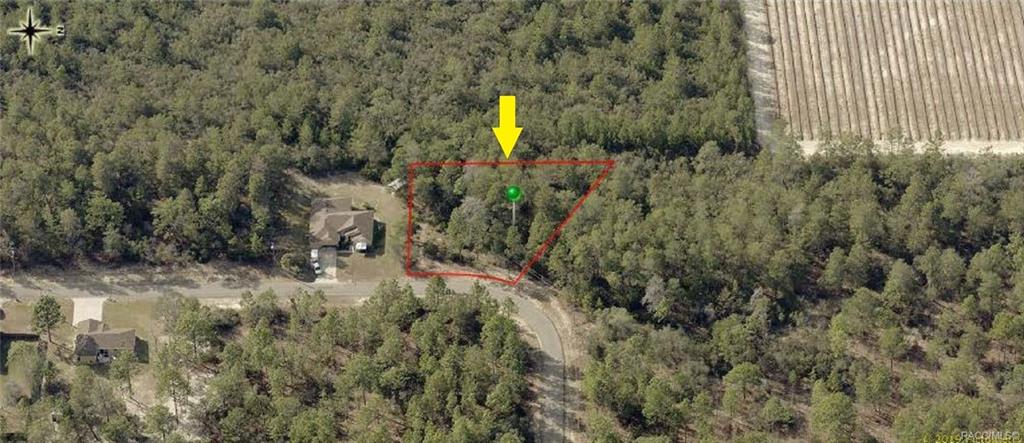 home for sale at 8965 N Farrington Drive, Citrus Springs, FL 34433 in Citrus Springs