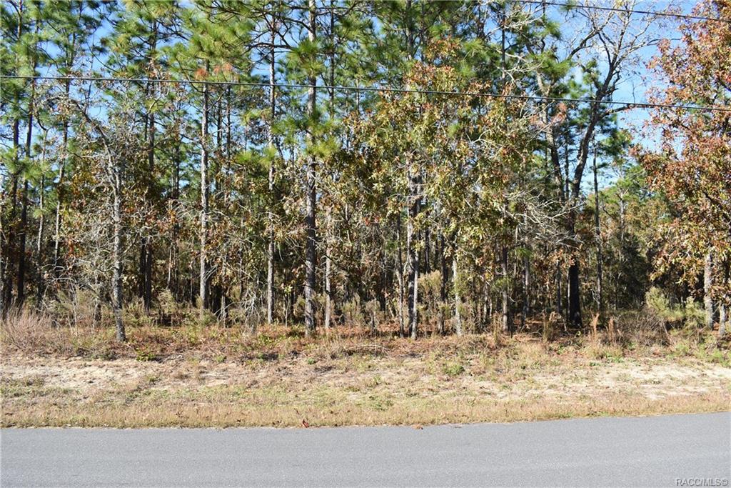 Sugarmill Woods Cypress Village Property Information 14 Boxleaf