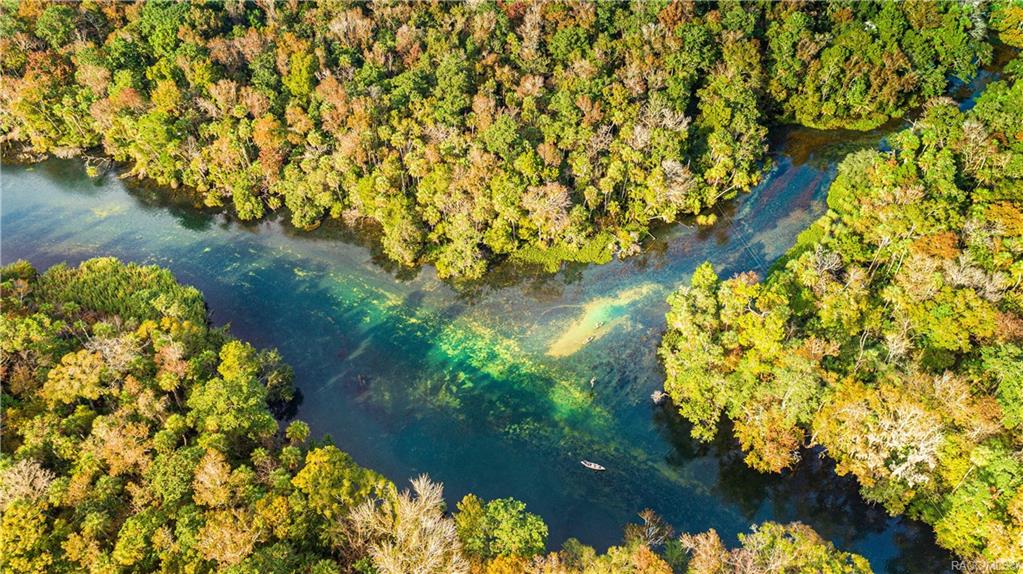 Chassahowitzka River Est. Property Information 10046 S Riviera Point